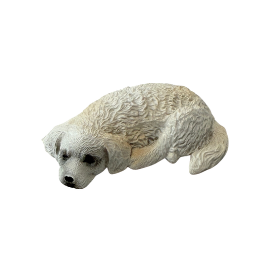 Hund weiß | zwei Varianten