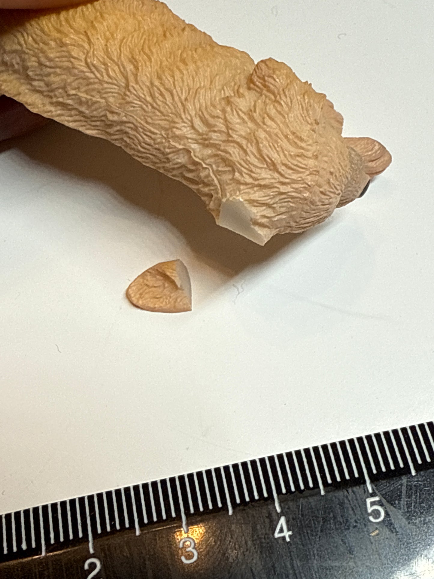 Hund (abgebrochenes Ohr)