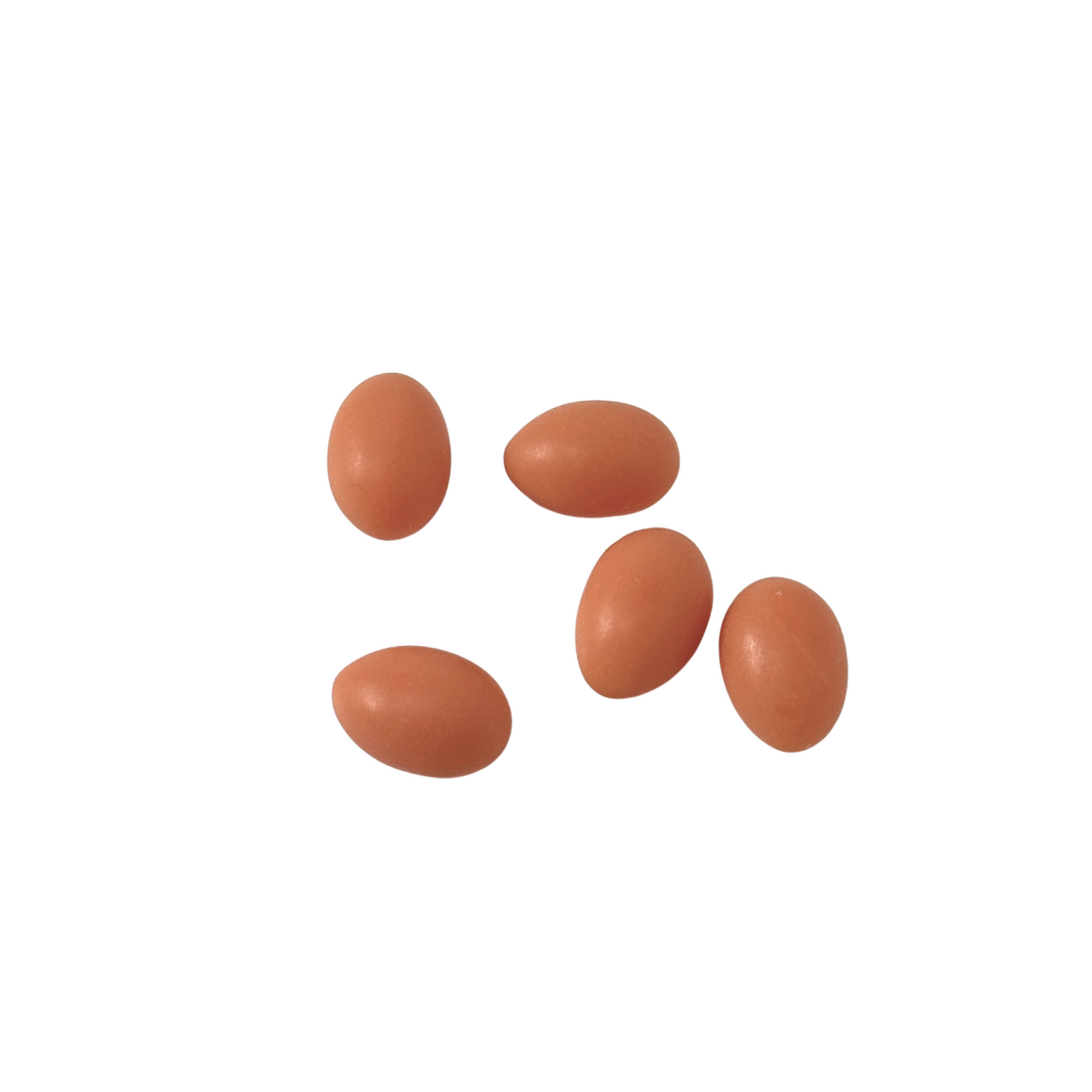 Eier, 5er Set | weiß oder braun