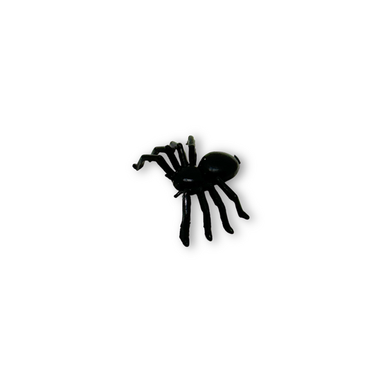 Spinne