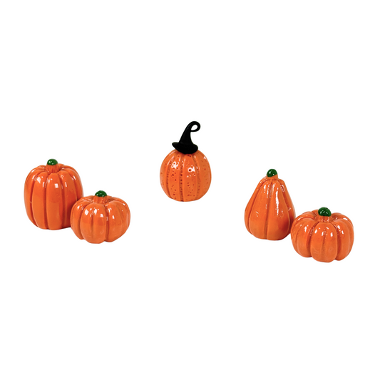 Kürbis 2er Set | verschiedene Sorten