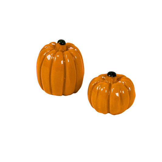 Kürbis 2er Set | verschiedene Sorten