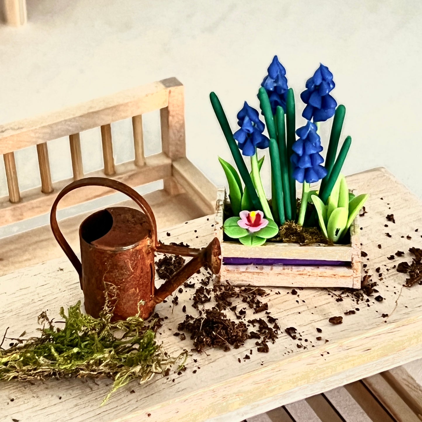 Frühlingsblumen orange | blau