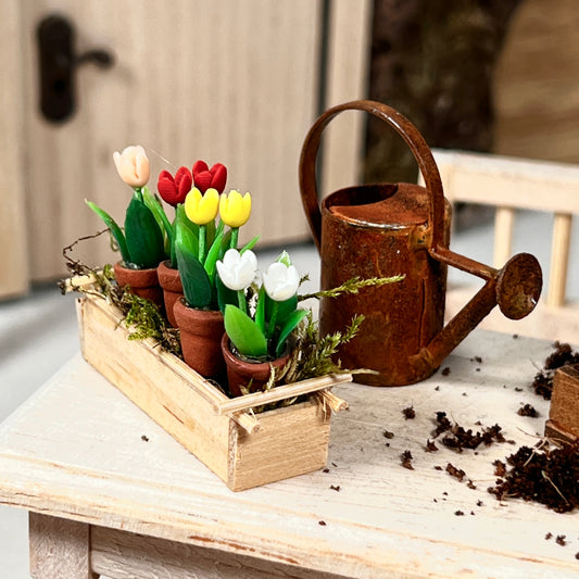 4 Tulpen mit Holzblumenkasten